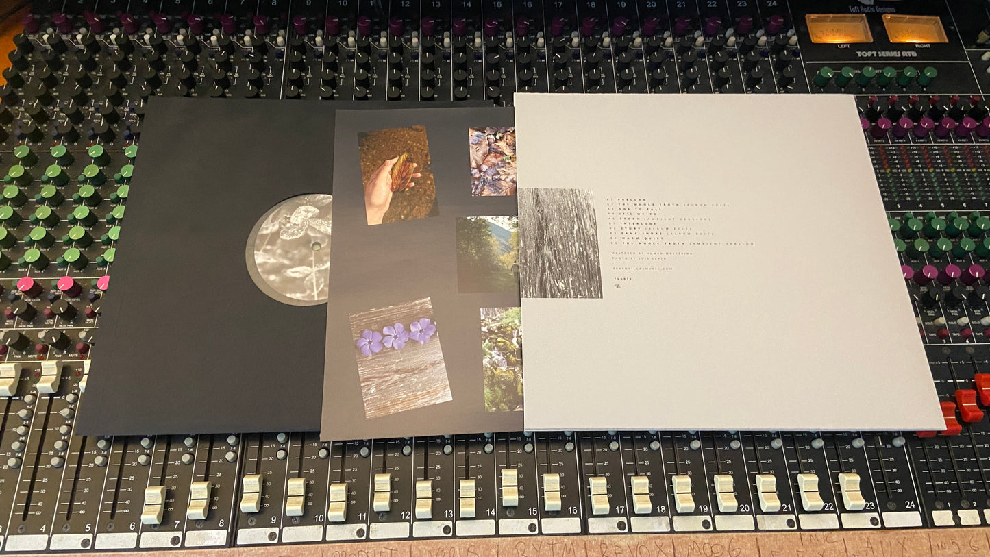 Other Stories LTD vinyl