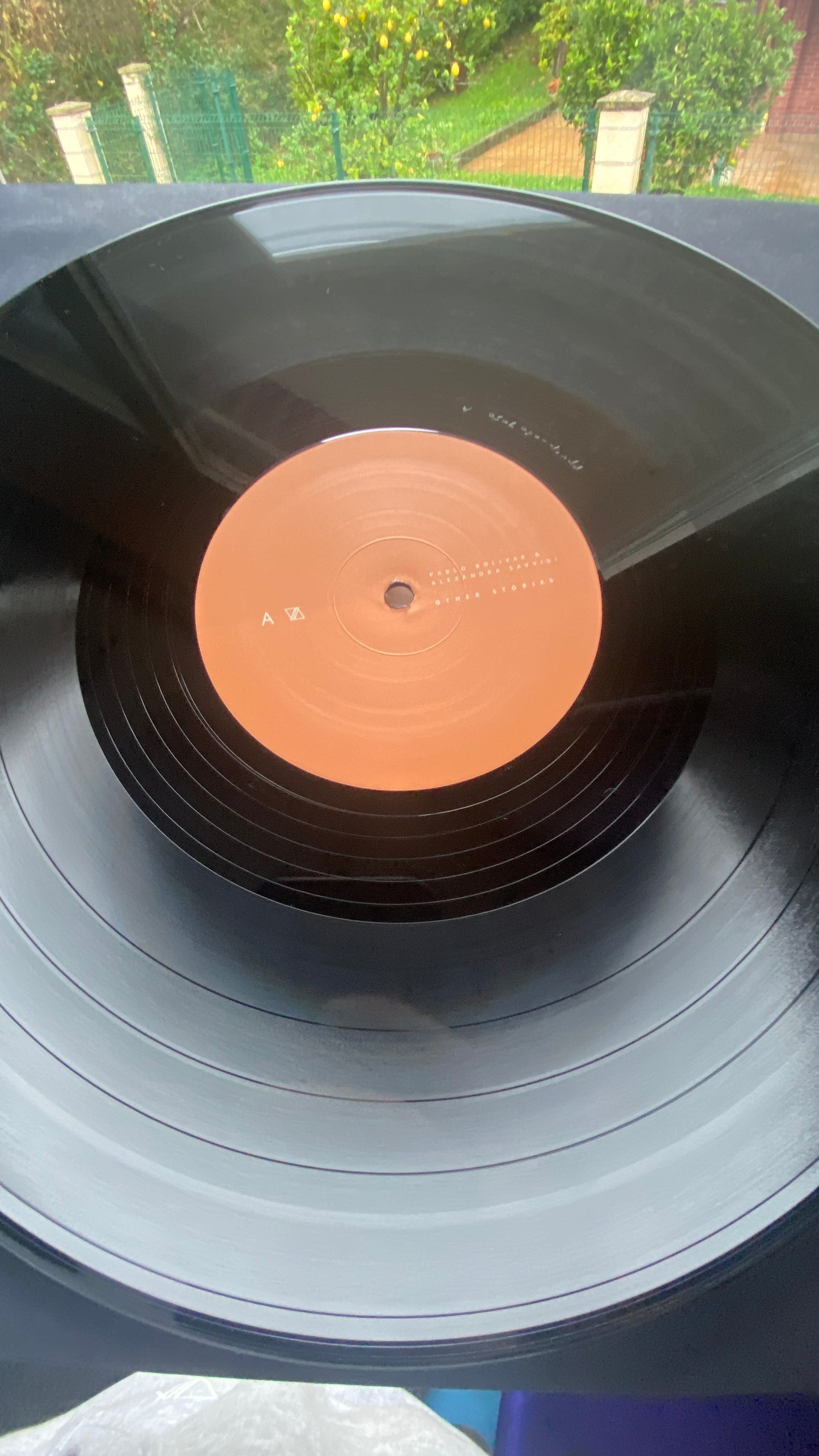 Other Stories LTD vinyl
